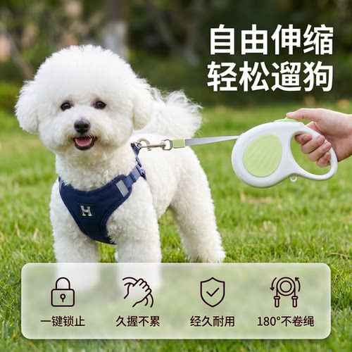 自动伸缩一键锁止遛狗牵引绳