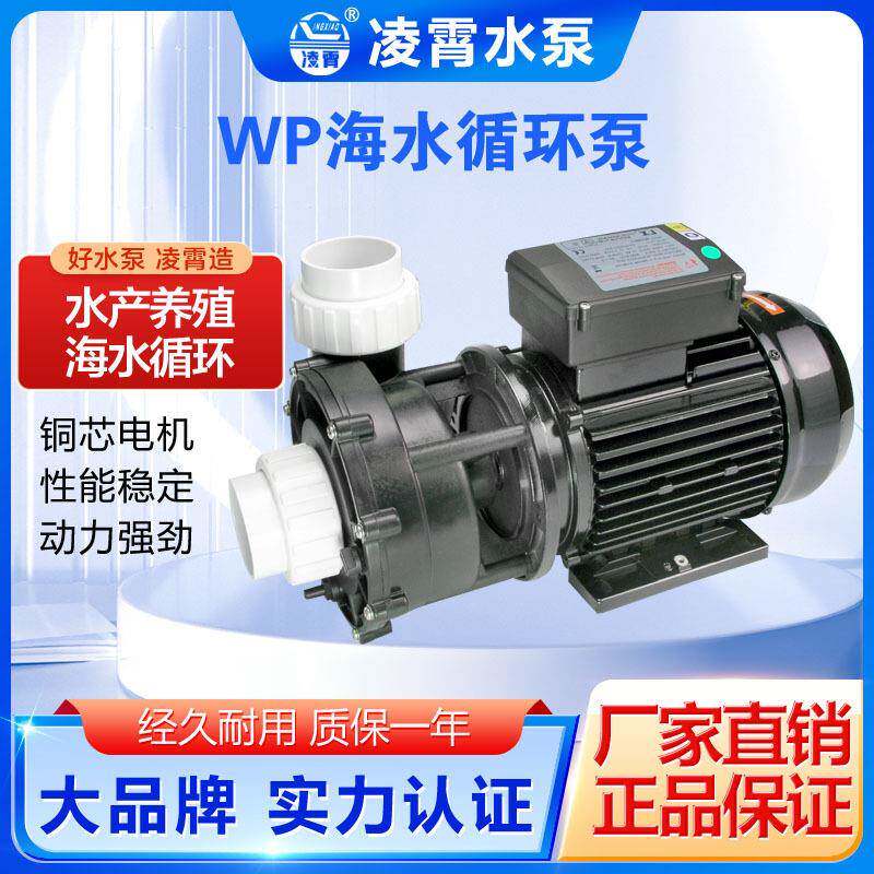 凌霄WP300WP400WP500海水耐腐蚀泵专业养殖泵循环泵大流量泵