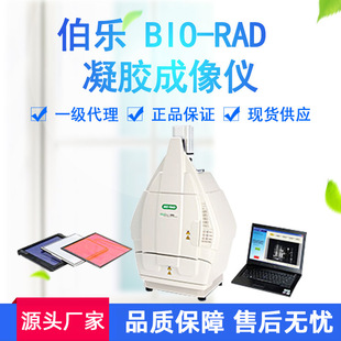 美国伯乐Bio-Rad凝胶成像系统凝胶成像仪文档系统现货
