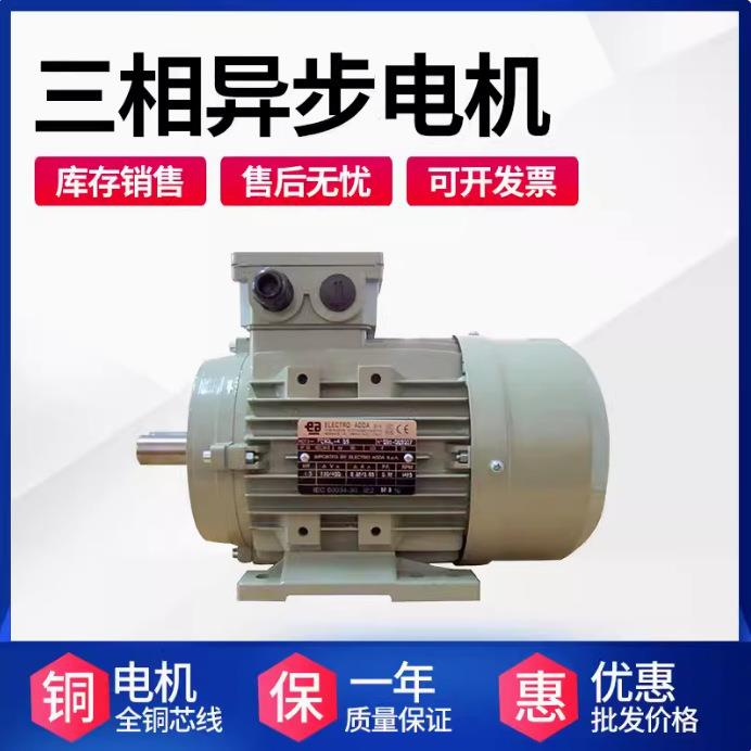 现货意大利ELECTROADDA三相异步电机FC100LB43KWB3/B5/B14