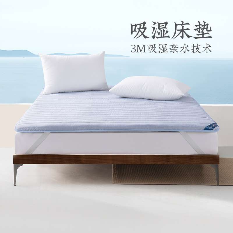 远梦吸湿亲水休闲垫家用双人榻榻米垫子软垫单人学生宿舍0.9m床垫