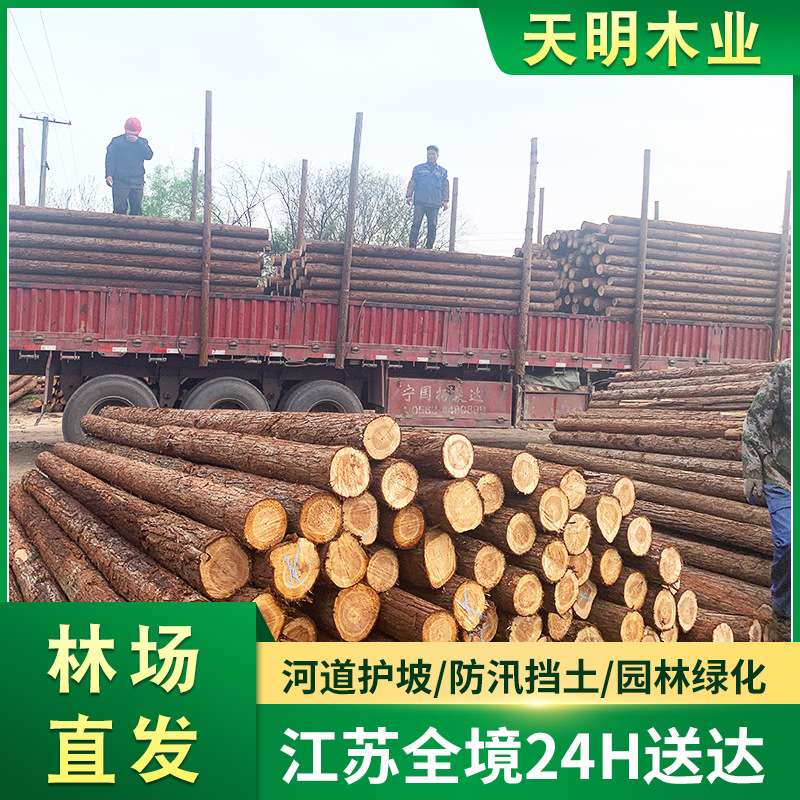 杉木原木桩户外河道驳岸实木打桩木堤坝防汛木桩落叶松圆木桩
