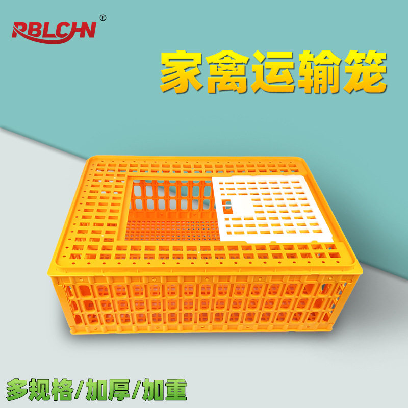 鸡笼加厚家禽运输周转箱特大号小鸡鸭鹅鸽子塑料笼框养鸡设备