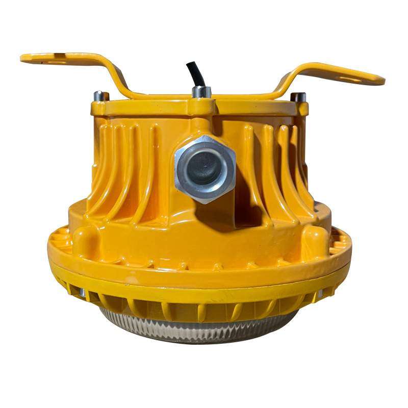 森本FGV1217-30WLED免维护节能防爆灯吸顶吊杆支架电缆过道粮舱