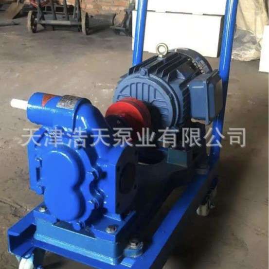 小车齿轮泵TDYD 柴油 机油 液压油 沥青 胶水 稠油 油漆齿轮泵
