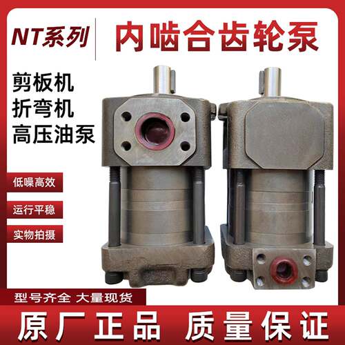 NT4-G40F直齿共轭内啮合齿轮泵高压油泵剪板机泵压砖机用泵