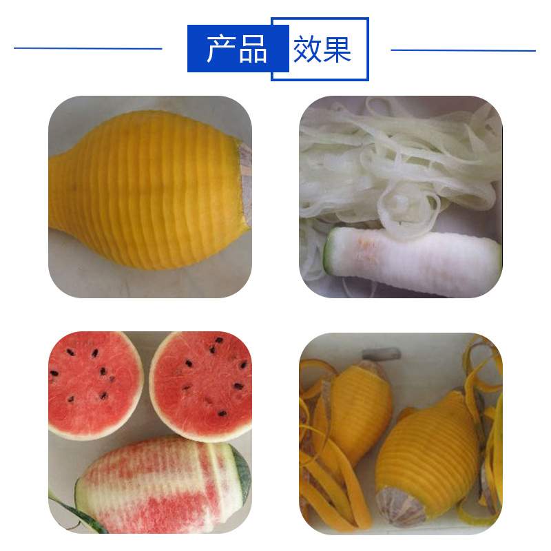 削皮机 菠萝南瓜冬瓜 葫芦西瓜去皮机 瓜果削皮机 单头双头