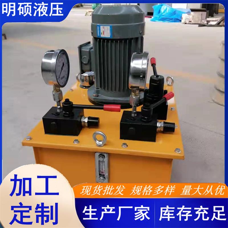 双作用电动液压泵DSS双泵双油路液压系统总成380V小型液压电动泵
