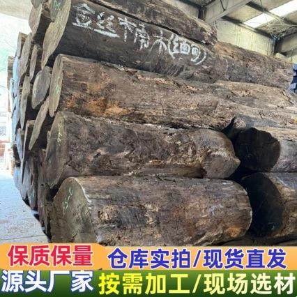 四川金丝楠木缅甸金丝楠黄芯楠原木大板木料小叶帧楠纹理美丽