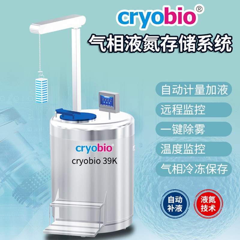 气相液氮存储系统不锈钢气相液氮罐生物液氮罐干胞大口径YDD容器