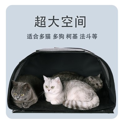 陪士奇猫包拉杆外出便携车载笼狗狗外出包大号大容量宠物拉杆箱包