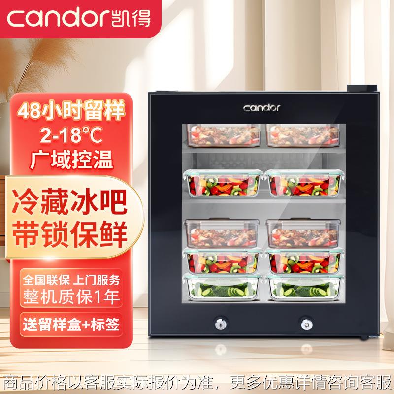 食品留样柜小型专用柜饮料冷柜小保鲜冷藏展示柜家用商用冰箱家庭