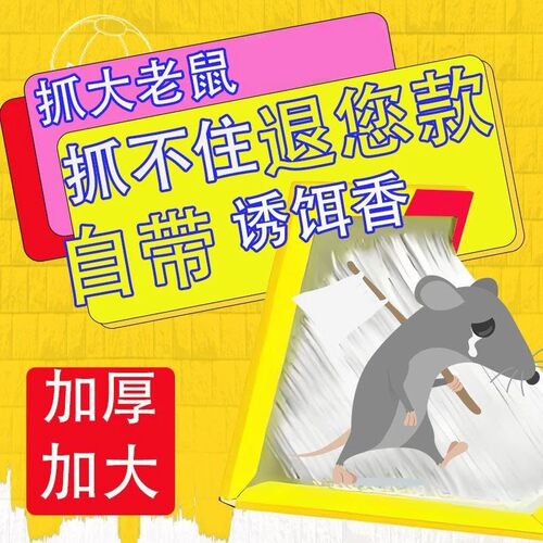 加厚加大家用诱饵捕鼠器