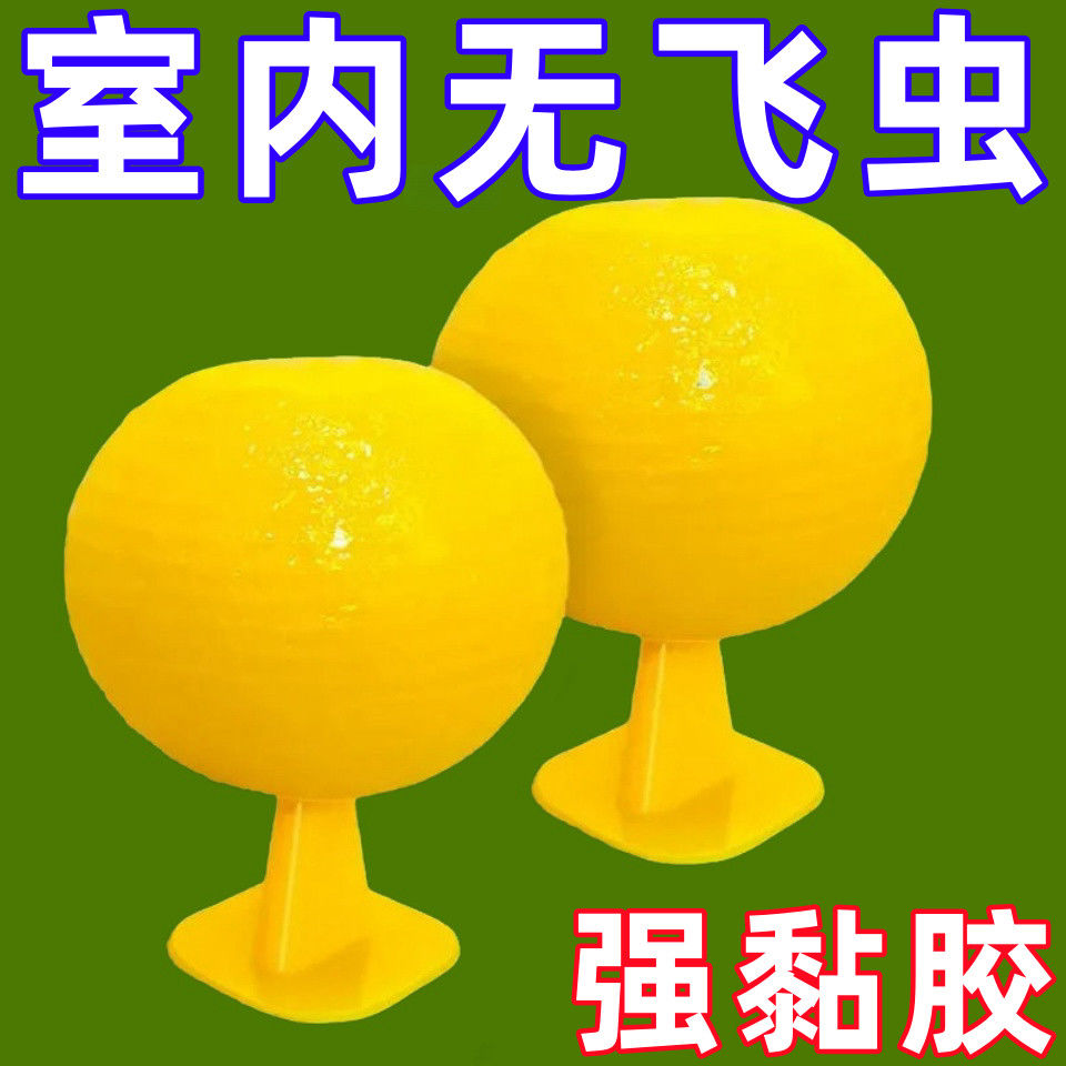 室内飞虫克星果蝇苍蝇蚊虫