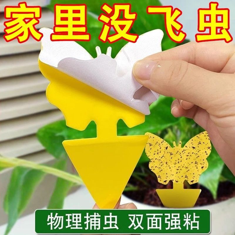 小黄板粘虫板双面诱虫板黏沾虫小飞虫粘板家用强力粘蝇纸花卉蝴蝶