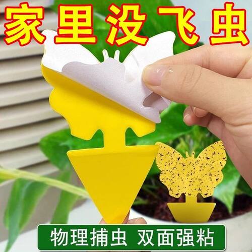 小黄板粘虫板双面诱虫板黏沾虫小飞虫粘板家用强力粘蝇纸花卉蝴蝶