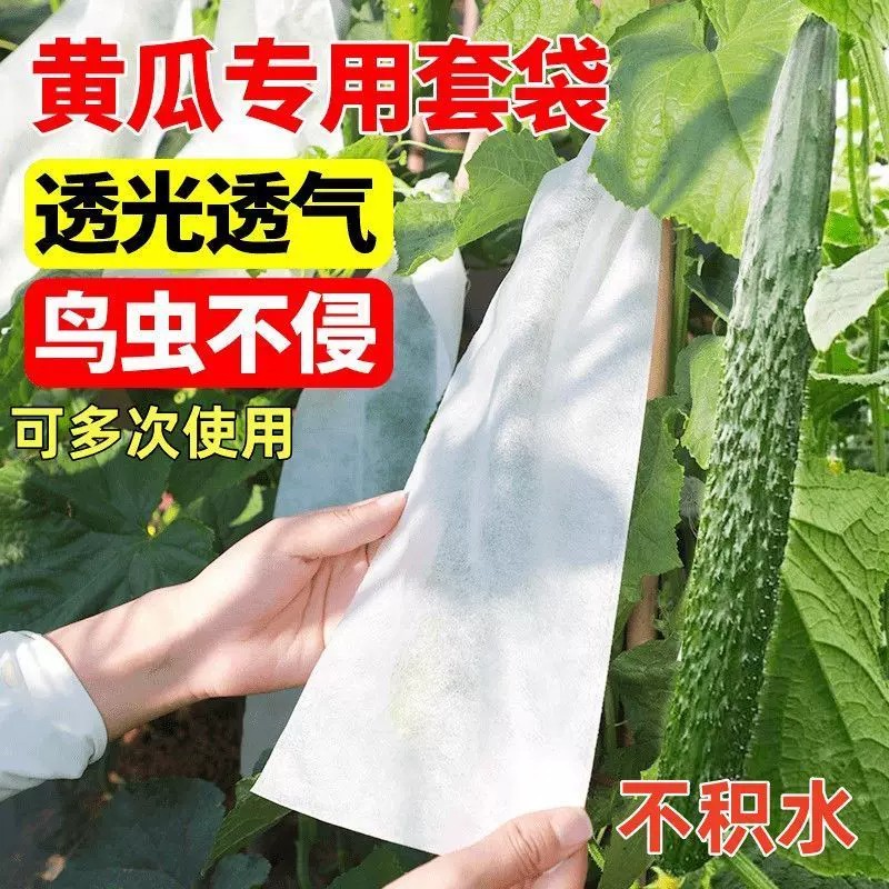 丝瓜套袋瓜果防虫袋保护袋专用套瓜袋苦瓜水果黄瓜防虫网袋子蔬菜