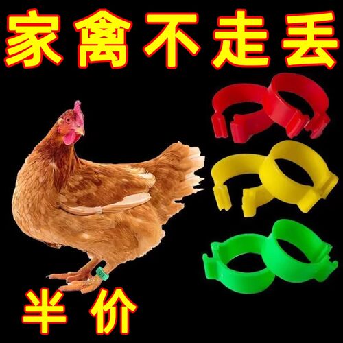 鸡脚鸡鸭脚环记号卡扣防走失脚家禽识别扣环鸭子鸟用防走失脚圈