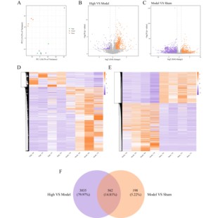 生信分析孟德尔MR单细胞转录组蛋白组代谢组标书实验科研设计