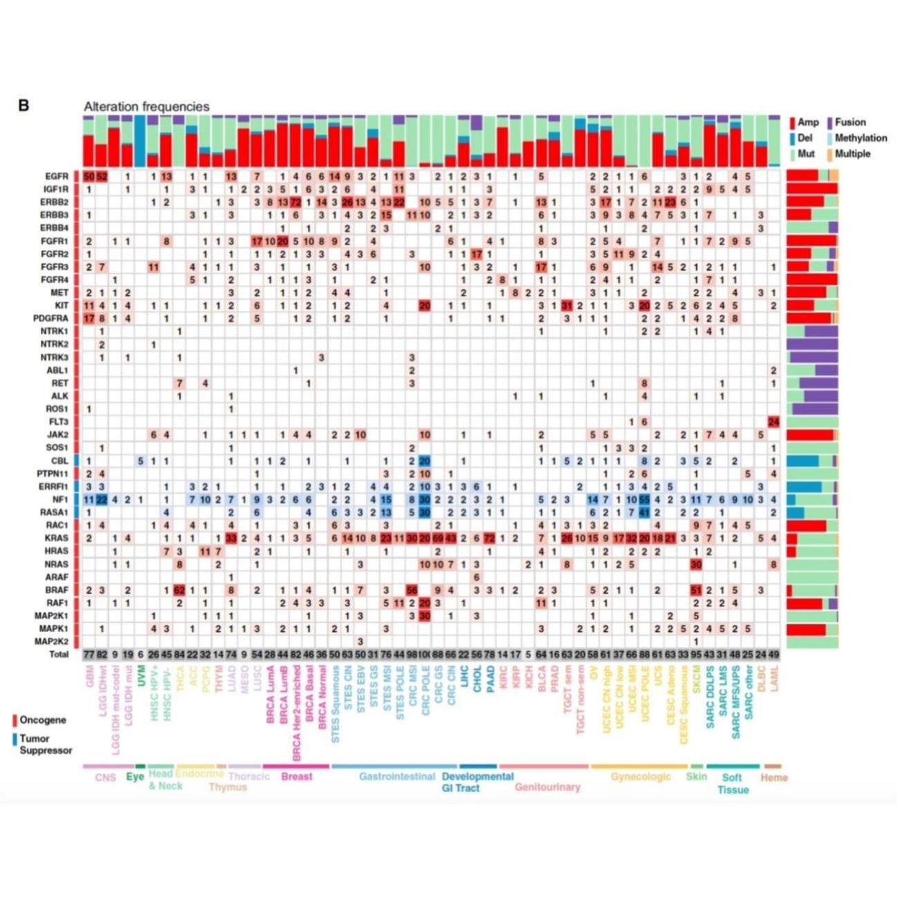 生信个性化图表和数据分析ggplot circos图热图火山图小提琴图服