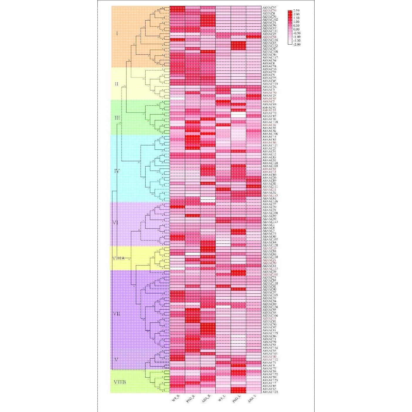 基因家族图片/基因家族分析/共线性分析/生物信息数据分析