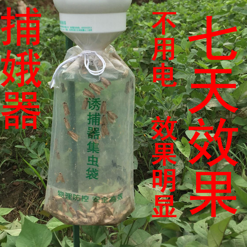 斜纹夜蛾诱灭冥娥神器飞蛾诱捕器甜菜草地贪夜娥诱捕器杀虫信息素