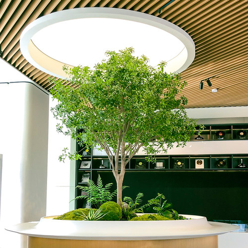 高端马醉木仿真植物造景室内装饰树仿生绿植大型假树简约景观橱窗
