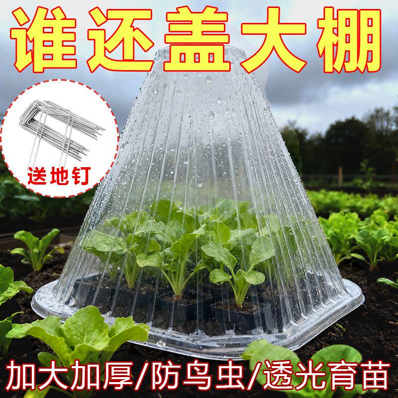 特大号育苗保温罩加厚防风防霜冻