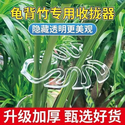 透明不易断防倒伏龟背竹支撑杆