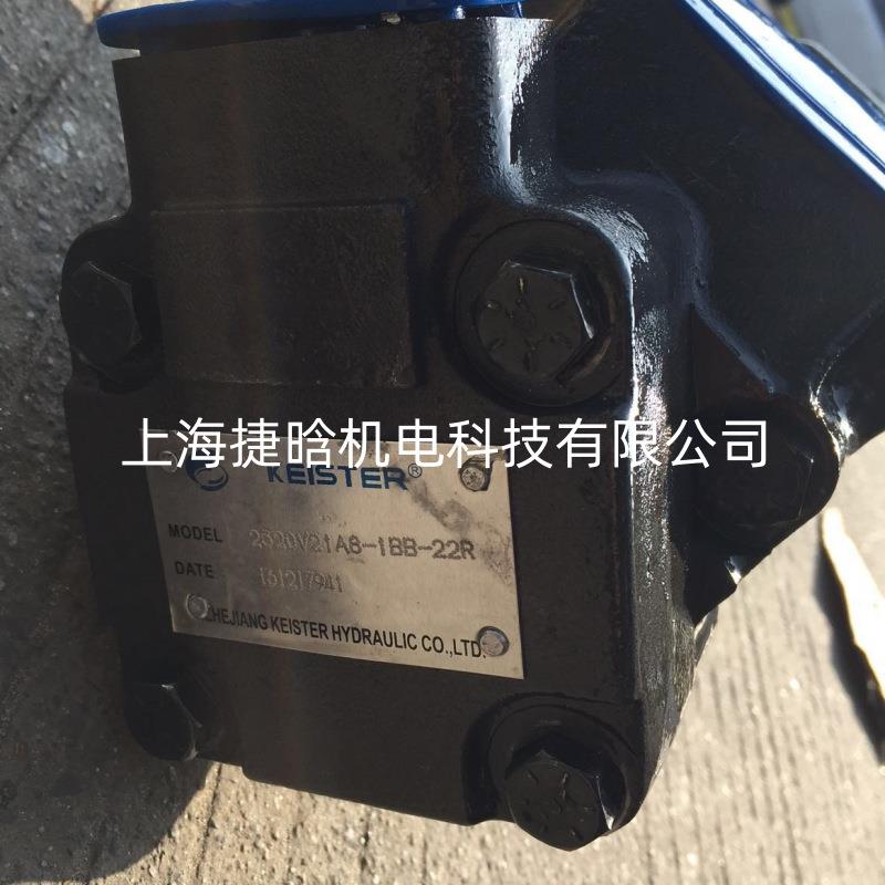凯斯特KEISTER油泵 VICKERS 2520VQ21A8-1BB-22R 双联叶片泵