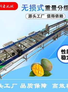 科宏机械无损式重量分选机智能分拣 凯特芒西瓜甜瓜重量分选