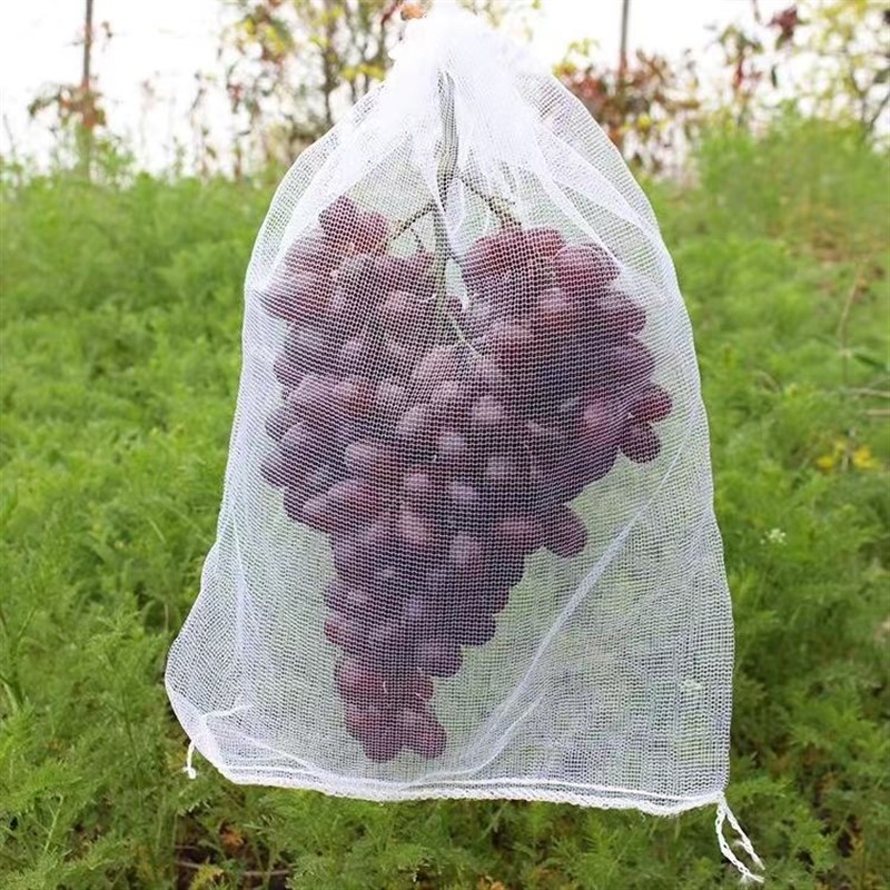 纱网防虫网罩定制杨梅樱桃莲雾嘉宝果脐橙果园果树防虫防鸟网罩