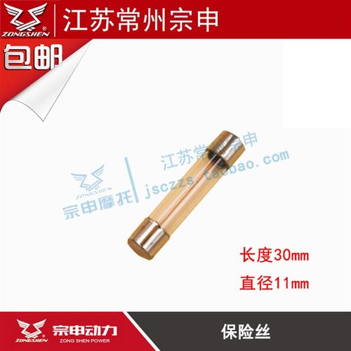 保险丝 摩托车 三轮车 电动车保险丝 管状保险丝 包邮9.9元发10个