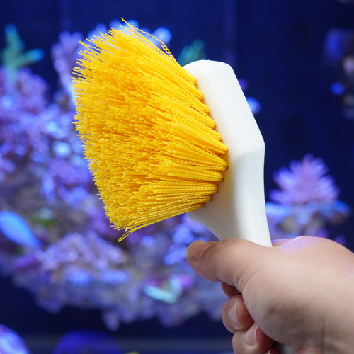 东杰聊海刷活石海水珊瑚鱼缸开缸用清洁刷石头省力好用刷子