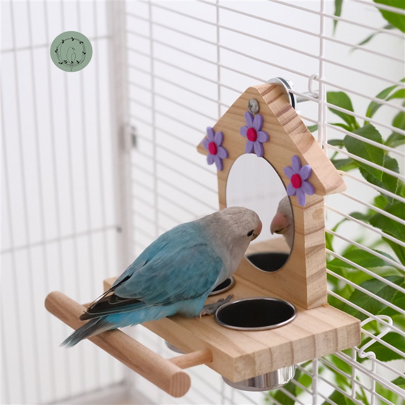 鹦鹉镜子食盒食盆防撒防溅鸟笼内挂牡丹玄凤虎皮专用站架解闷玩具