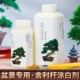 盆景专用舍利干杆涂白剂防水晒石硫合剂园艺制作工具铝丝造型用品