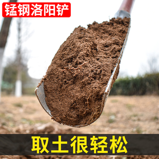 正宗洛阳铲打洞取土挖土神器挖坑挖洞农用工具大全翻地铁锹洛阳产