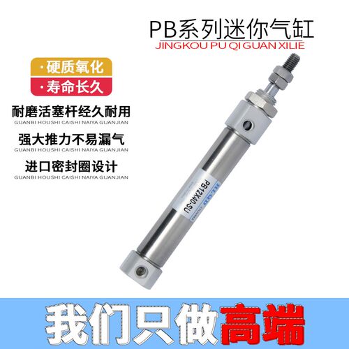 PB微型不锈钢迷你带磁气动气缸PB10/12/16-10-20-75-100-150平尾