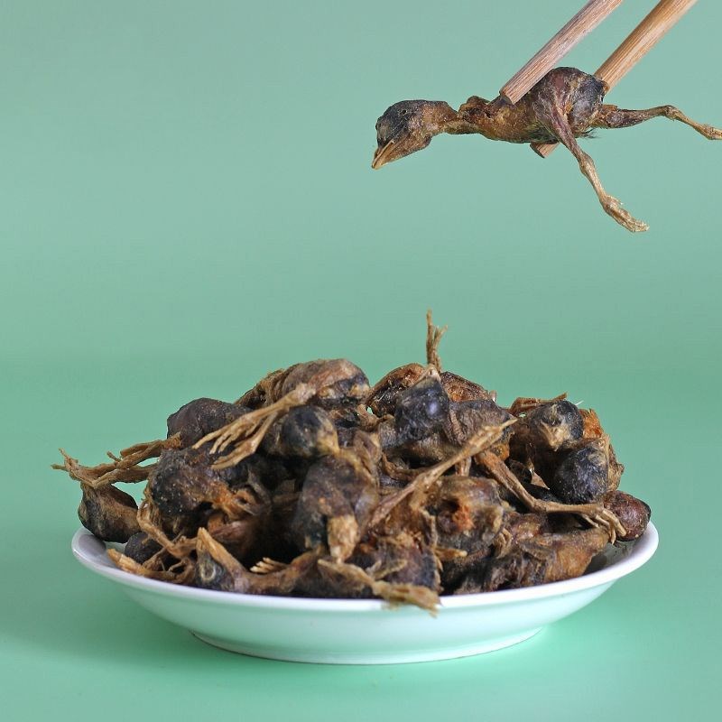 猫零食鹌鹑冻干营养增肥猫咪生骨肉磨牙补钙狗狗桶装鹌鹑宠物零食