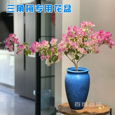三角梅专用花盆适合种三角梅的老桩飘枝花盆透气打孔复古陶瓷37