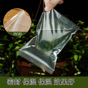 嫁接保湿袋保温袋透明透光嫁接刀袋就盆景金弹子造型靠接保湿袋
