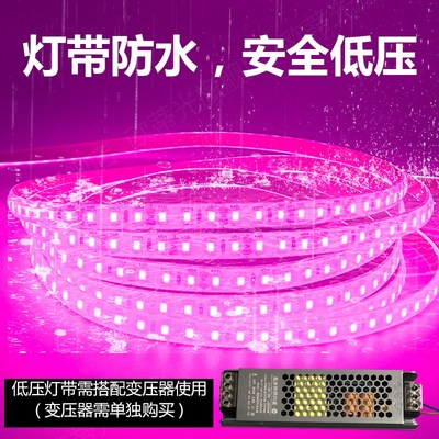 粉色LED灯带24V户外防水灯带24伏粉红粉紫玫红超高亮水底水下灯带