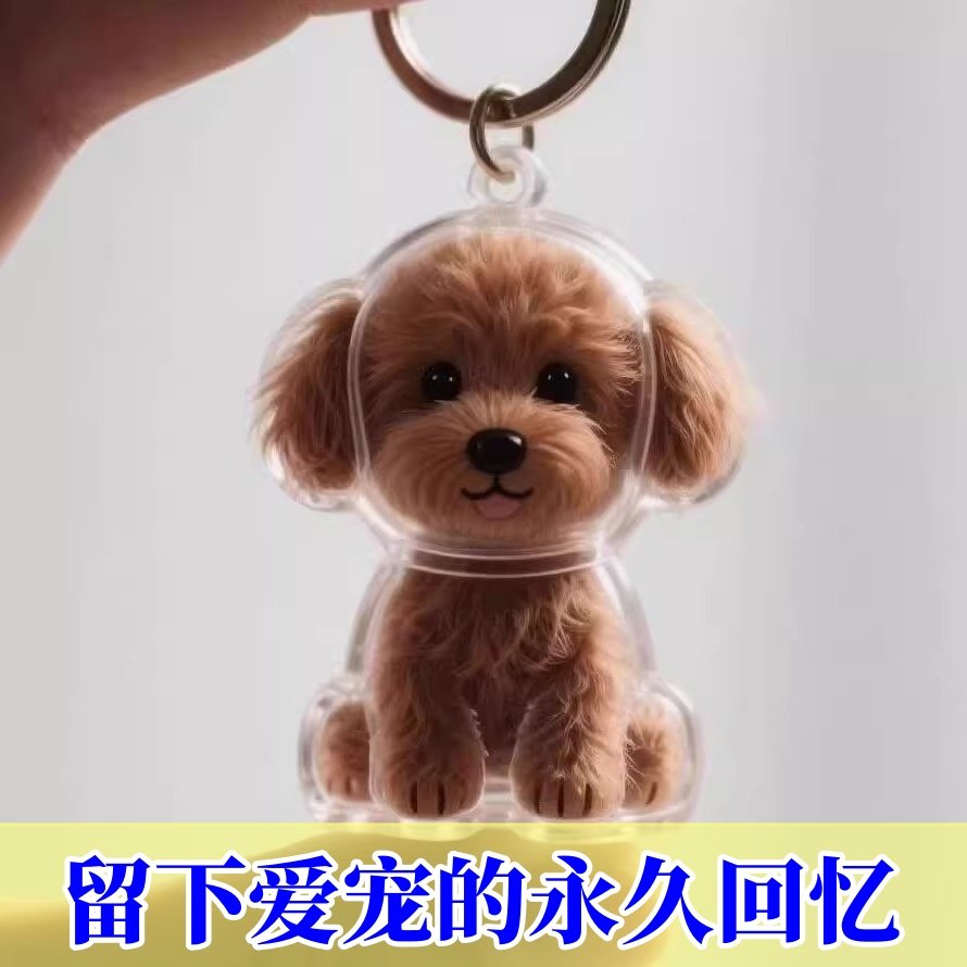 透明小狗猫猫毛发收纳盒