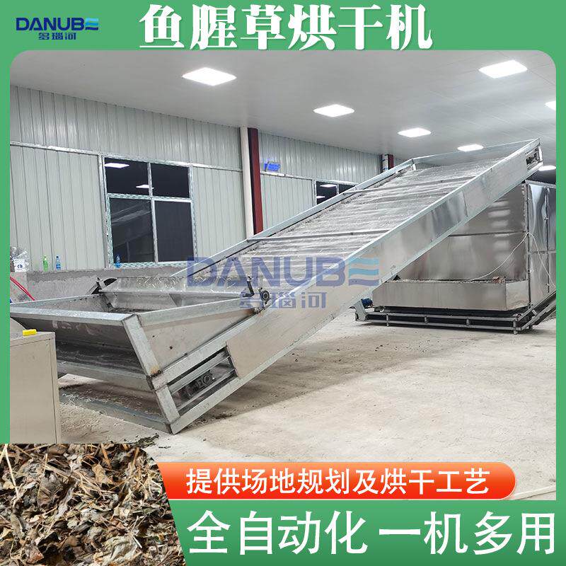鱼腥草烘干机 全自动岑草蕺儿根大型干燥机 连续式折耳根烘干设备