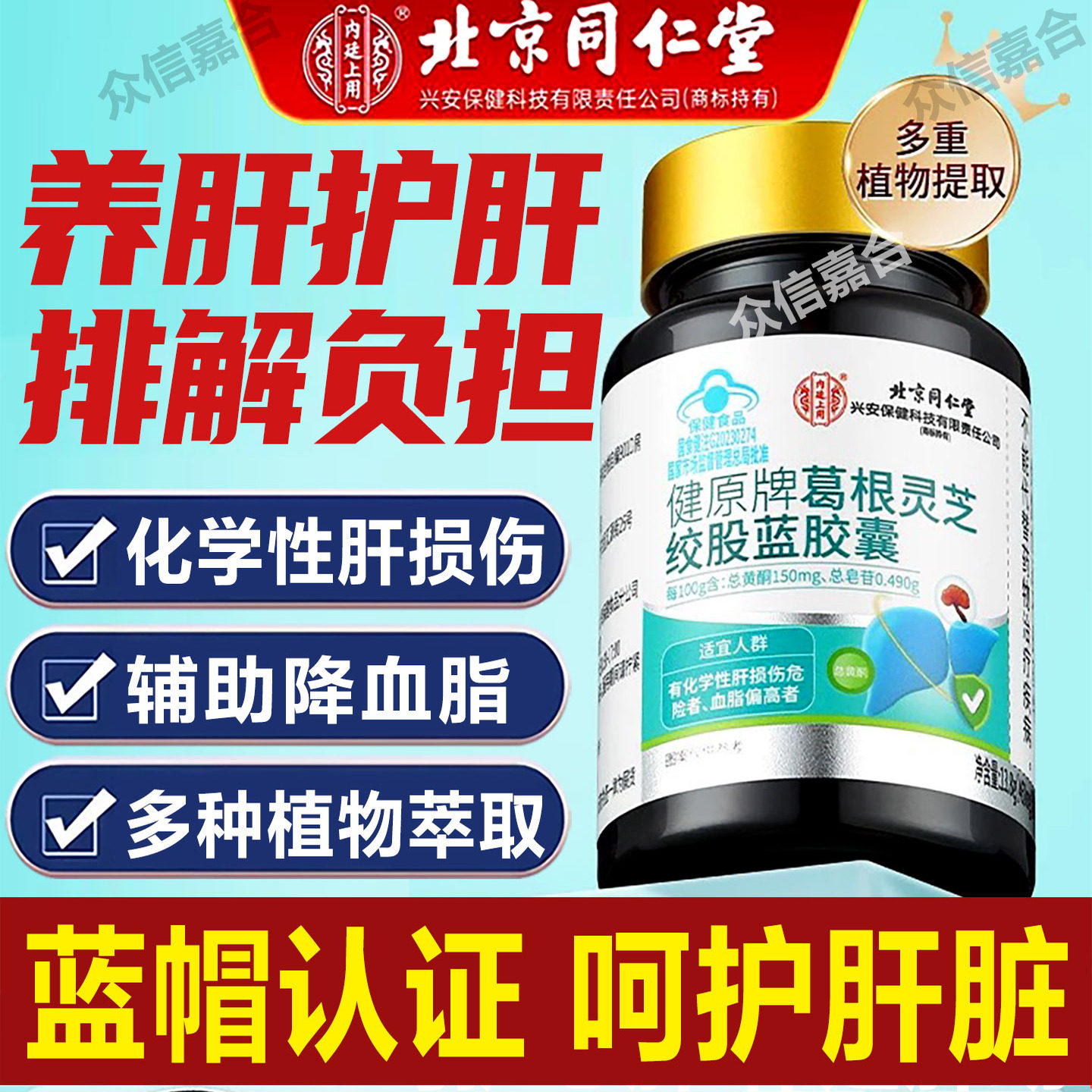 养肝护肝葛根灵芝绞股蓝胶囊辅助降血脂肝火旺口臭熬夜