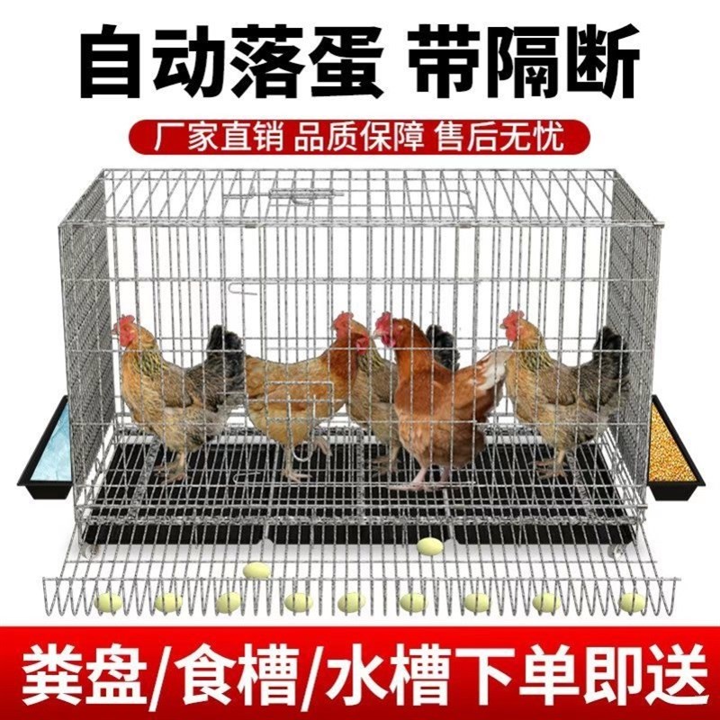 鸡下蛋的笼子养鸡专用笼子大室外养鸡棚不锈钢养鸡笼家用养殖笼粗