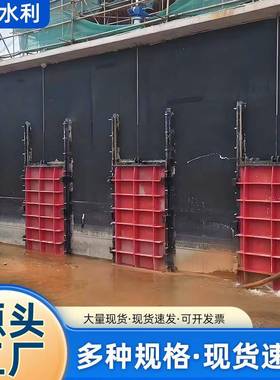 铸铁闸门水库水电站渠道水利工程附壁式闸门双向止水铸铁镶铜闸门