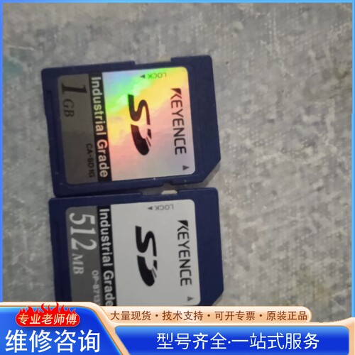 {议价}基en士内存卡1套 CA-SD1G和OP-87133 行货
