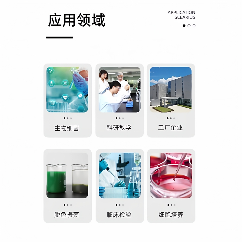 脱色摇床实验室上下跷跷板式摇摆振荡器多功能数显可调小型号