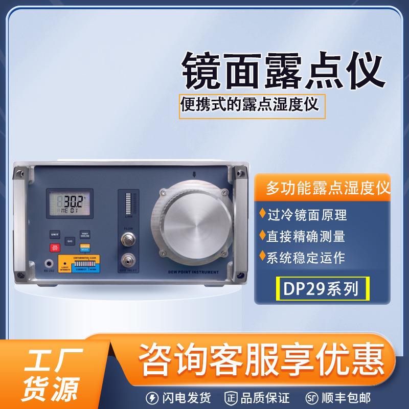 DP29多功能镜面露点仪微量水分测定仪微水仪便携式露点温湿度仪